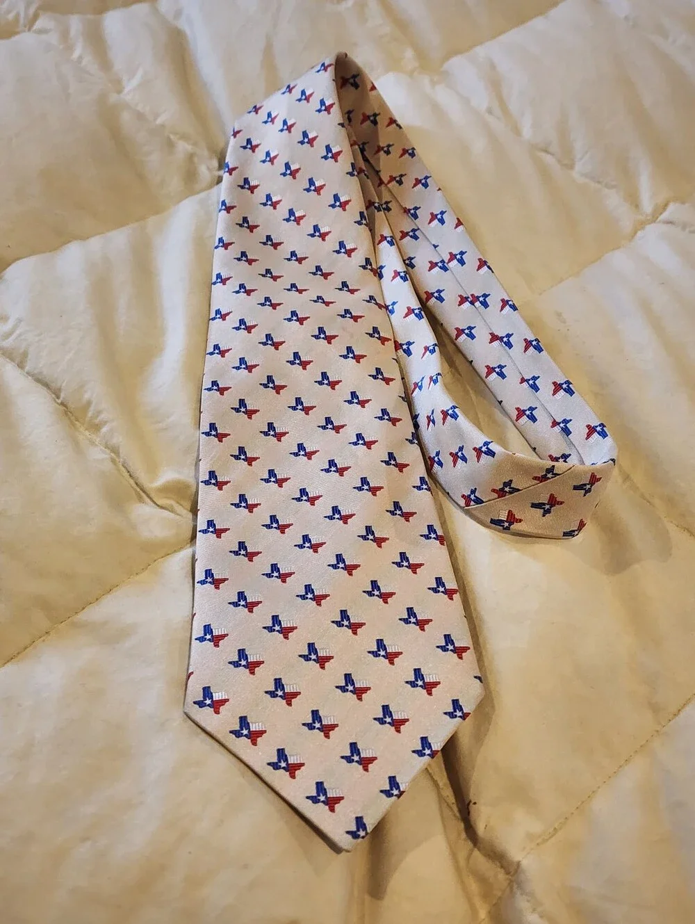 Mens Pure Silk Texas Pattern Neck Tie By Eagles Wings